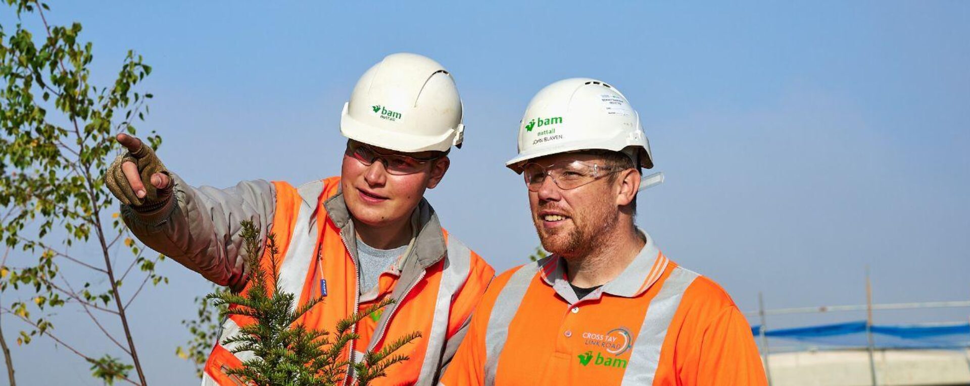 Bamplant046 1